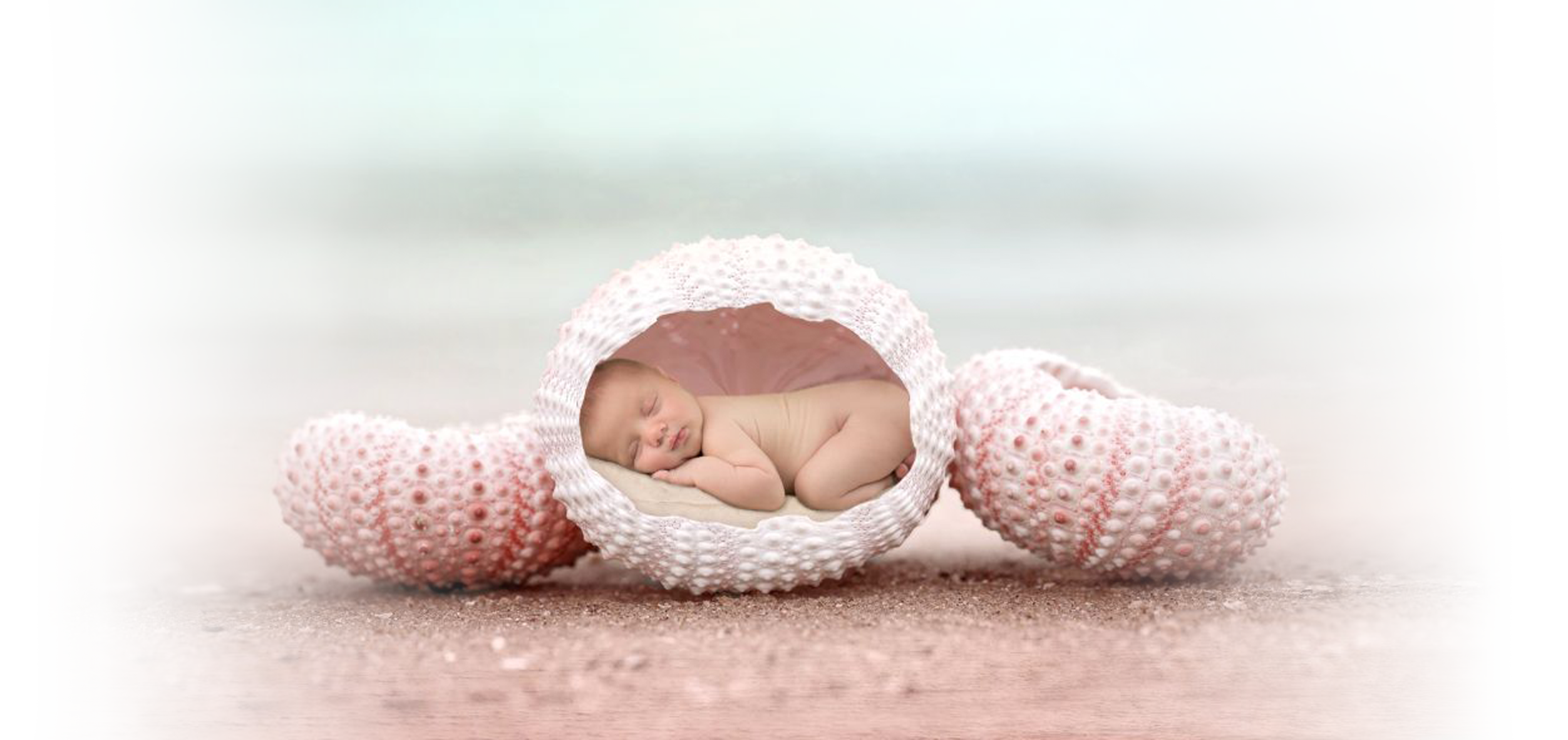 hauptbild_newborn